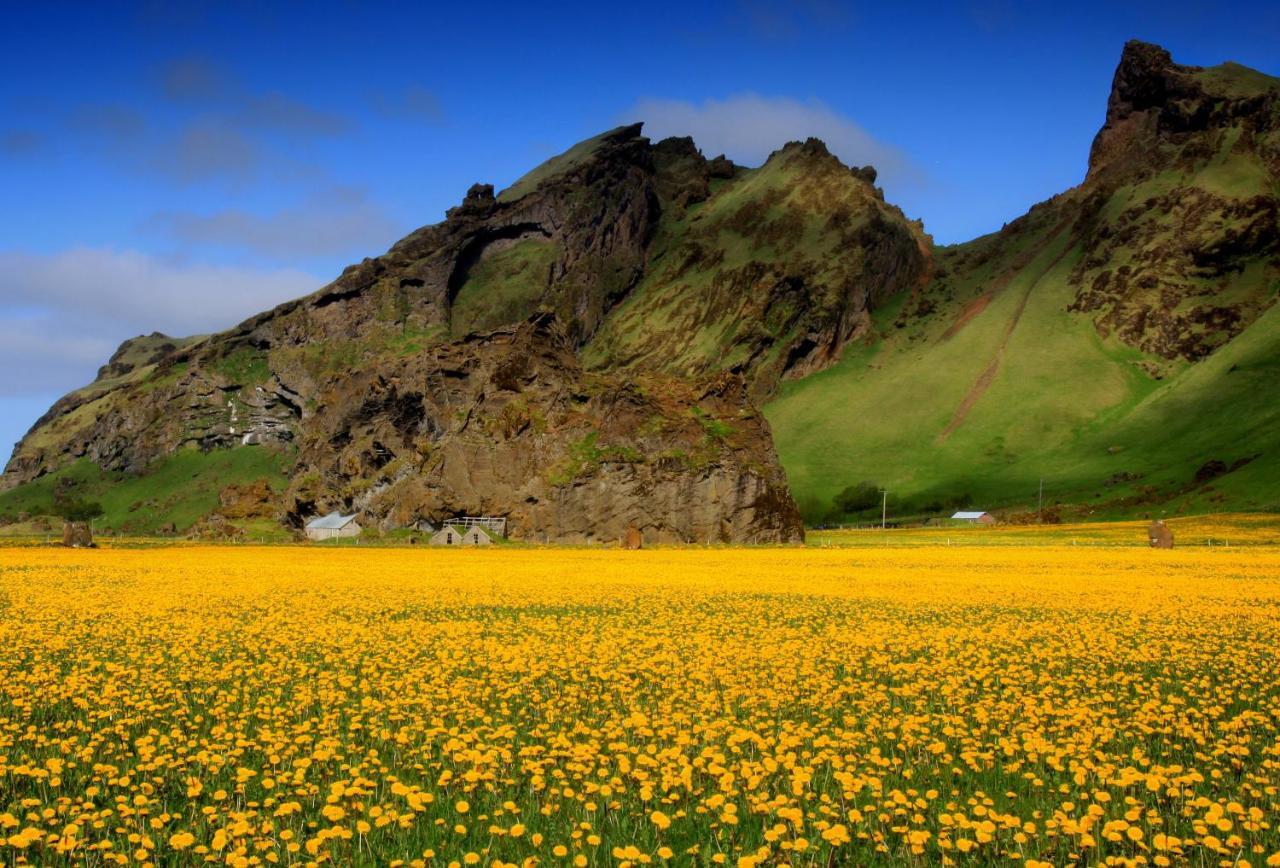 Cozy Cottage By Stay In Iceland Hvolsvöllur Zimmer foto